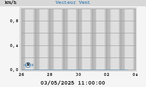 Wind Vector