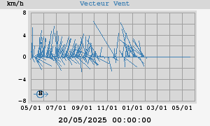 Wind Vector